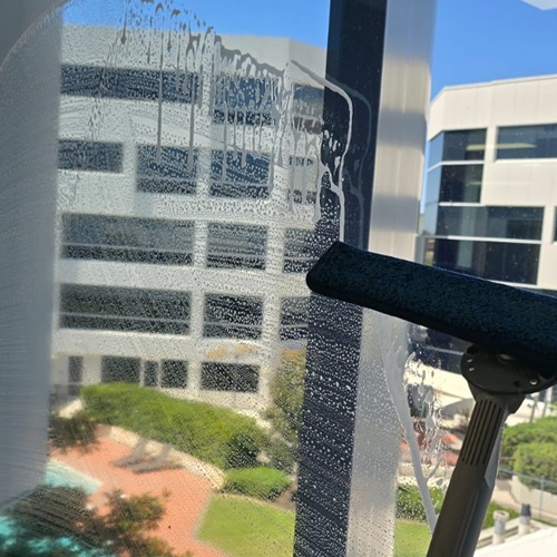 Window Cleaning Services